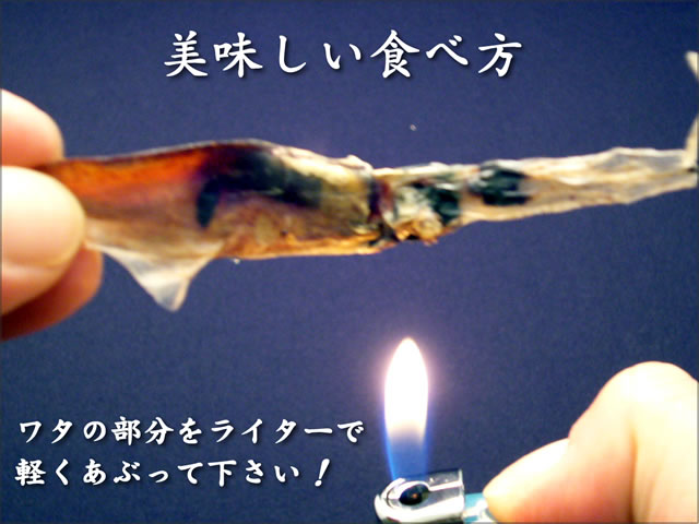富山県魚津漁港の浜浦水産のホタルイカ素干し