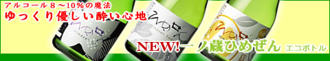 20ǯ����Υ�˥塼���롣���¢�˥塼�Ҥ᤼��ϥ����ܥȥ���ͤ�̣�襤�⣳���ࡣ