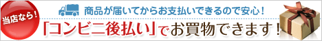 ����ӥ˸�ʧ���ʥͥåȥץ��ƥ�����󥺡�